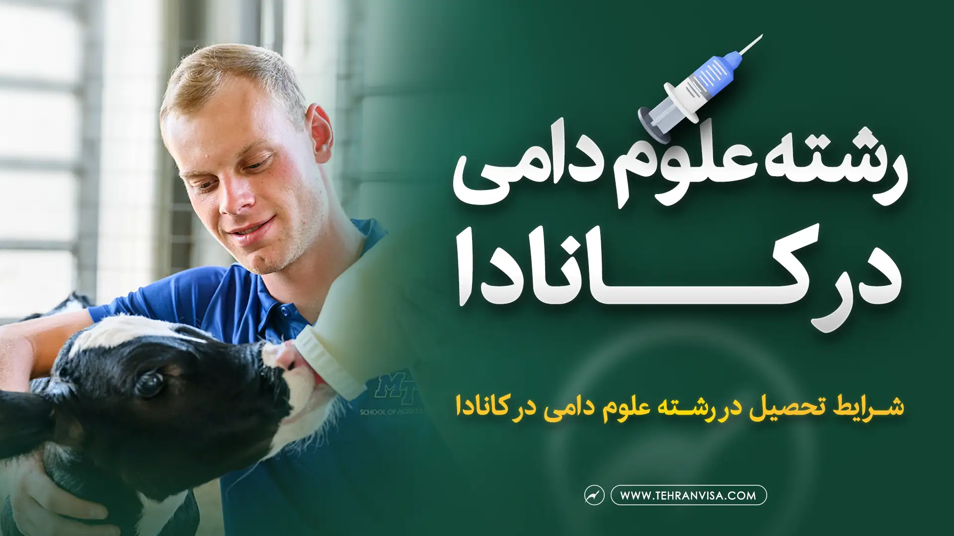 تحصیل در رشته علوم دامی در کانادا