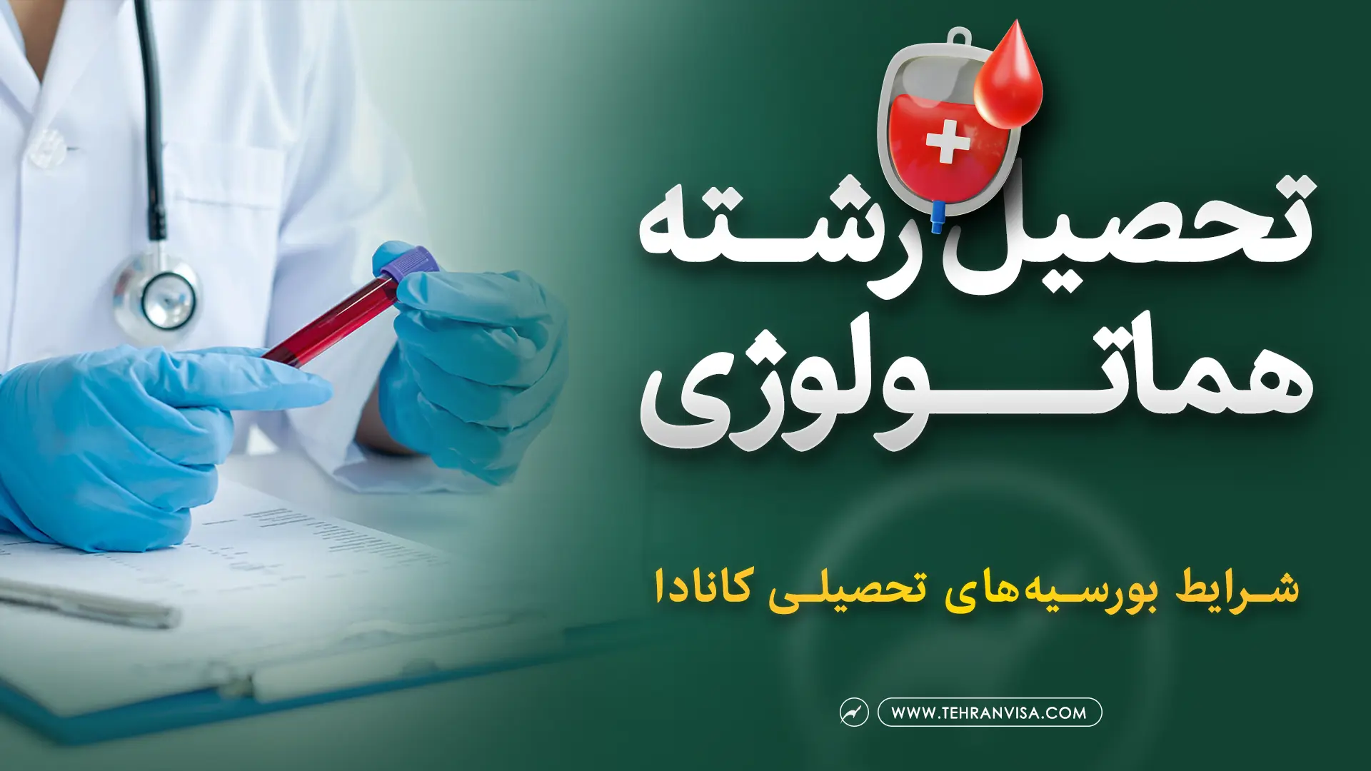 تحصیل رشته هماتولوژی در کانادا