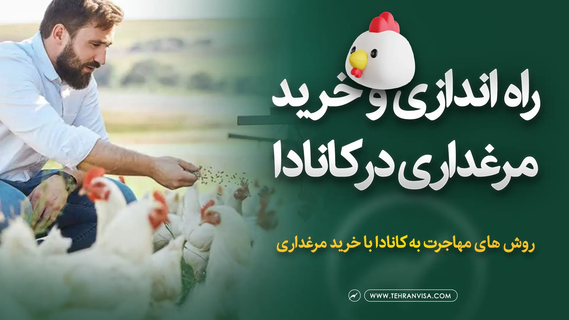 راه اندازی و خرید مرغداری در کانادا