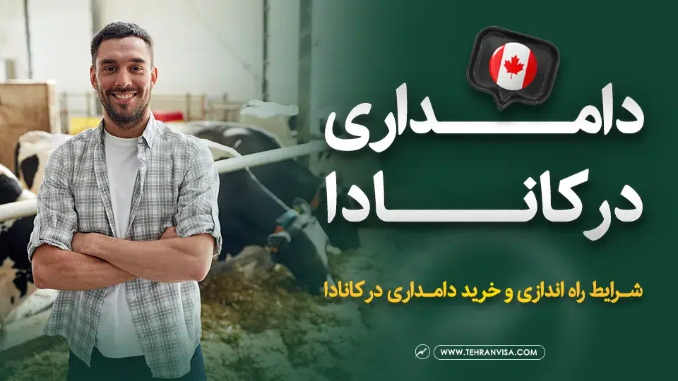 دامداری در کانادا