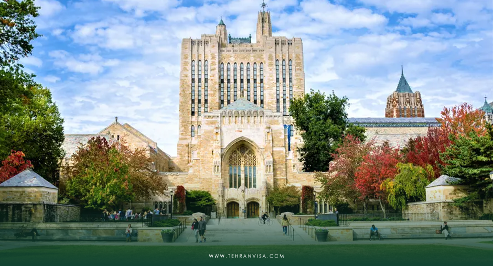 دانشگاه ییل